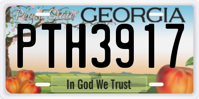 GA license plate PTH3917