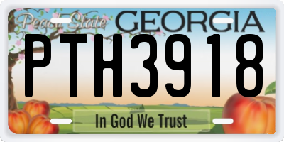 GA license plate PTH3918