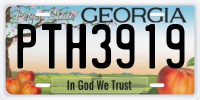 GA license plate PTH3919