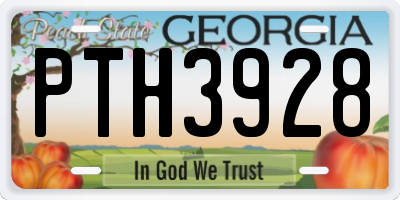 GA license plate PTH3928