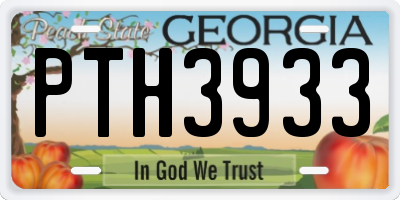 GA license plate PTH3933