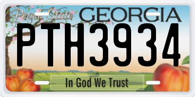 GA license plate PTH3934