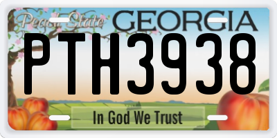 GA license plate PTH3938