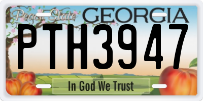 GA license plate PTH3947