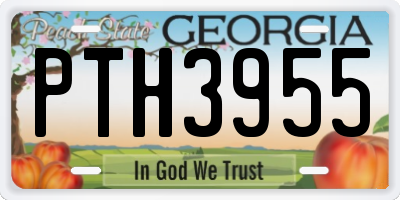 GA license plate PTH3955