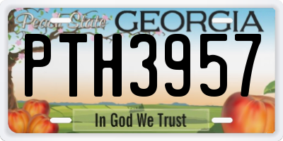 GA license plate PTH3957