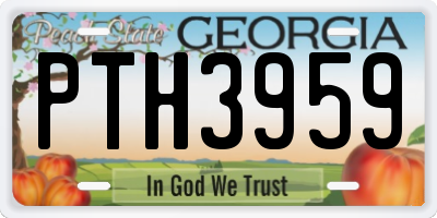 GA license plate PTH3959