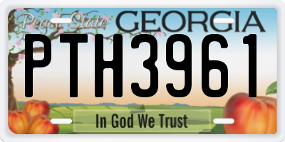 GA license plate PTH3961