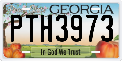GA license plate PTH3973