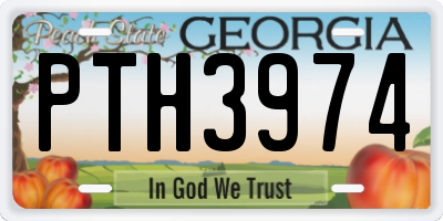 GA license plate PTH3974