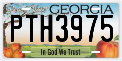 GA license plate PTH3975