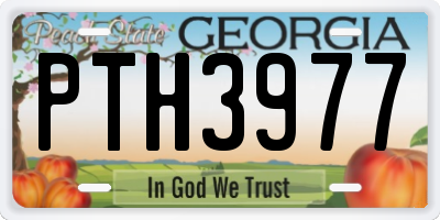 GA license plate PTH3977