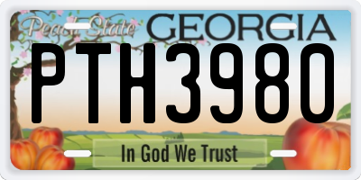 GA license plate PTH3980