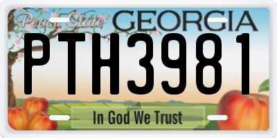 GA license plate PTH3981