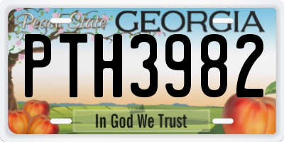 GA license plate PTH3982