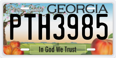 GA license plate PTH3985