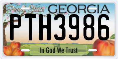 GA license plate PTH3986