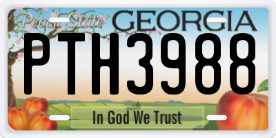 GA license plate PTH3988