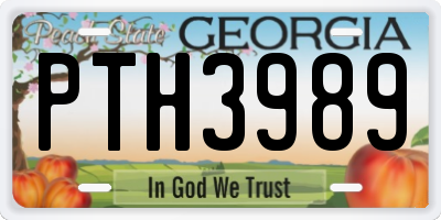 GA license plate PTH3989