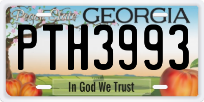 GA license plate PTH3993