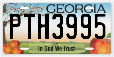 GA license plate PTH3995