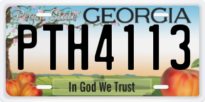GA license plate PTH4113
