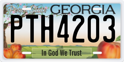 GA license plate PTH4203