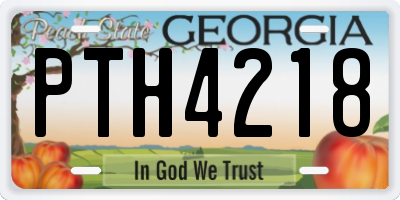 GA license plate PTH4218