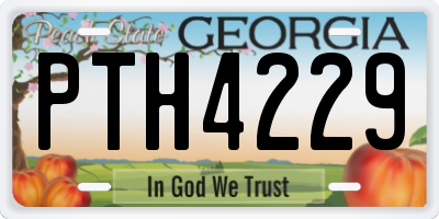 GA license plate PTH4229