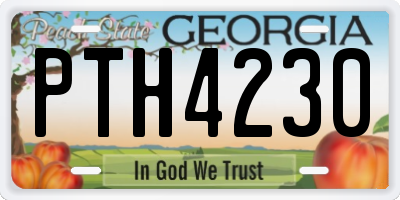 GA license plate PTH4230