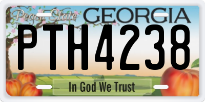 GA license plate PTH4238