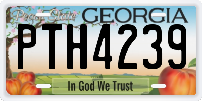 GA license plate PTH4239