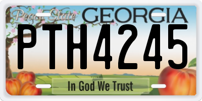 GA license plate PTH4245