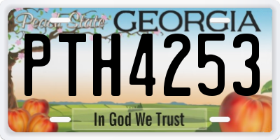 GA license plate PTH4253
