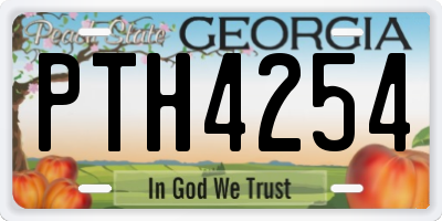 GA license plate PTH4254