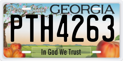 GA license plate PTH4263