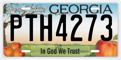 GA license plate PTH4273