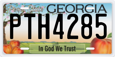 GA license plate PTH4285
