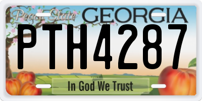 GA license plate PTH4287