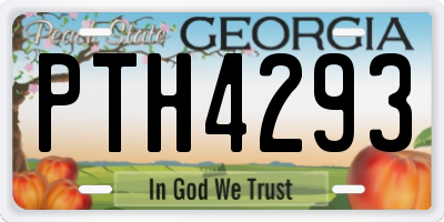 GA license plate PTH4293
