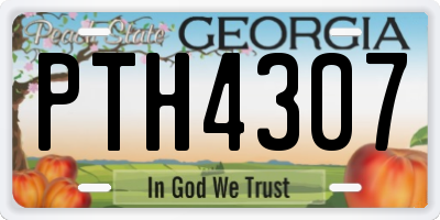 GA license plate PTH4307