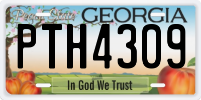 GA license plate PTH4309