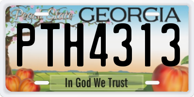 GA license plate PTH4313