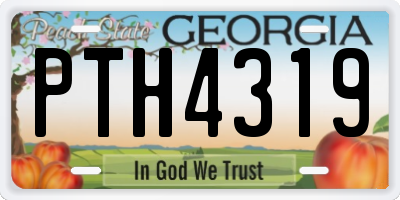 GA license plate PTH4319