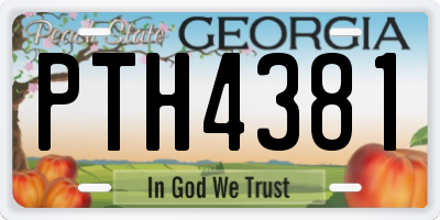 GA license plate PTH4381