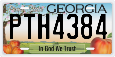 GA license plate PTH4384