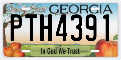 GA license plate PTH4391
