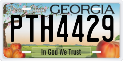 GA license plate PTH4429