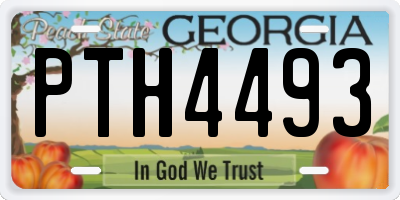 GA license plate PTH4493