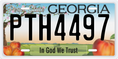 GA license plate PTH4497